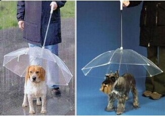 pet umbrella