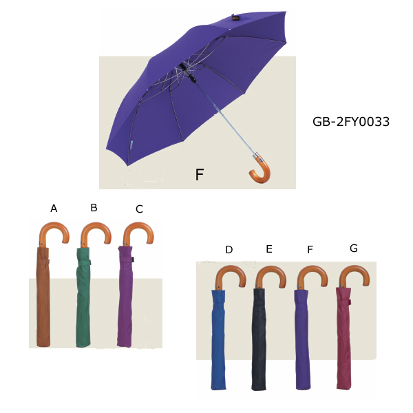 Auto open GB-2FY0033