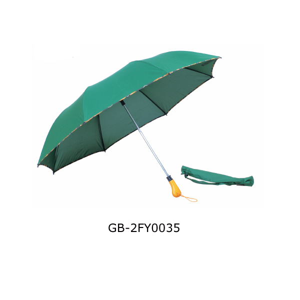 Auto open GB-2FY0035
