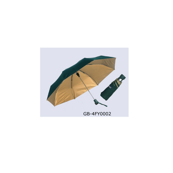 auto open GB-4FY0002
