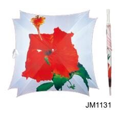 JM1131
