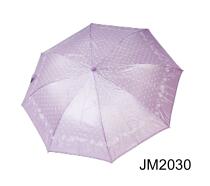 JM2030