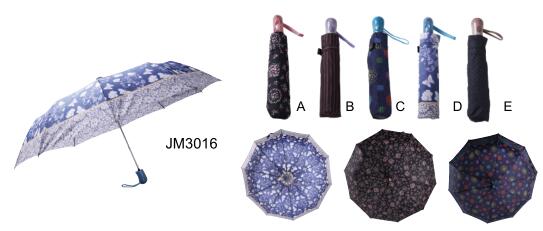 JM3016