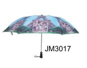 JM3017