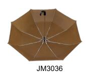 JM3036