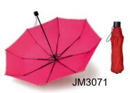 JM3071